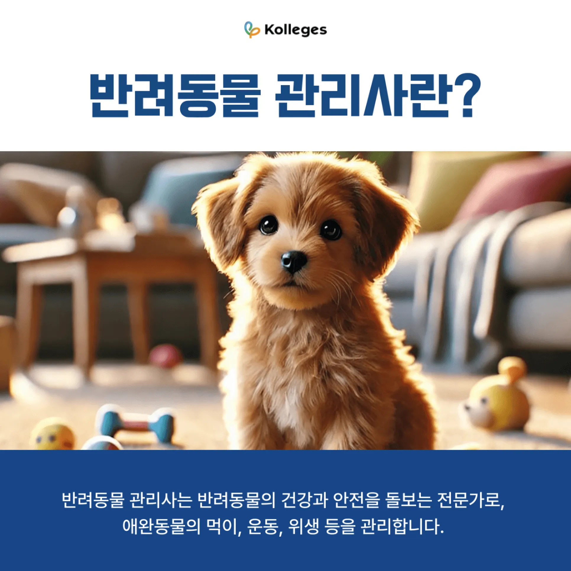 반려동물을 돌보고 행동·건강을 관리하는 반려동물 관리사의 역할 소개
