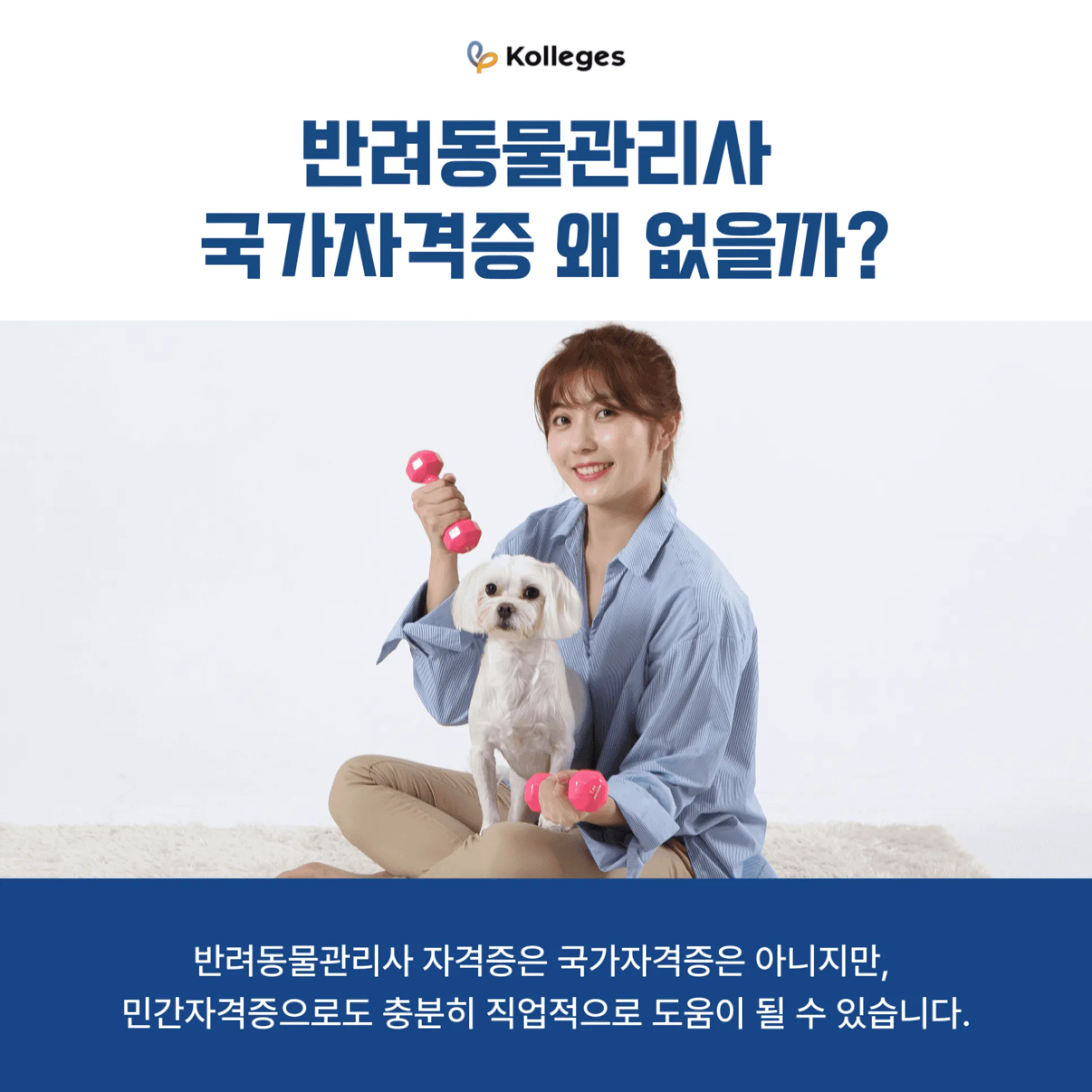 반려동물관리사 국가자격증이 아직 제정되지 않은 이유를 설명하는 이미지