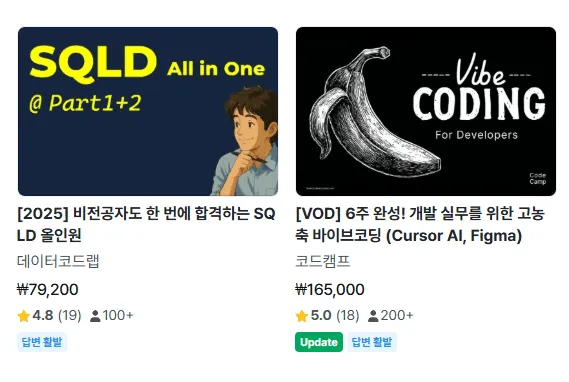 학습자의 문제 해결을 강조한 인프런 직무교육 강의 소개 화면
