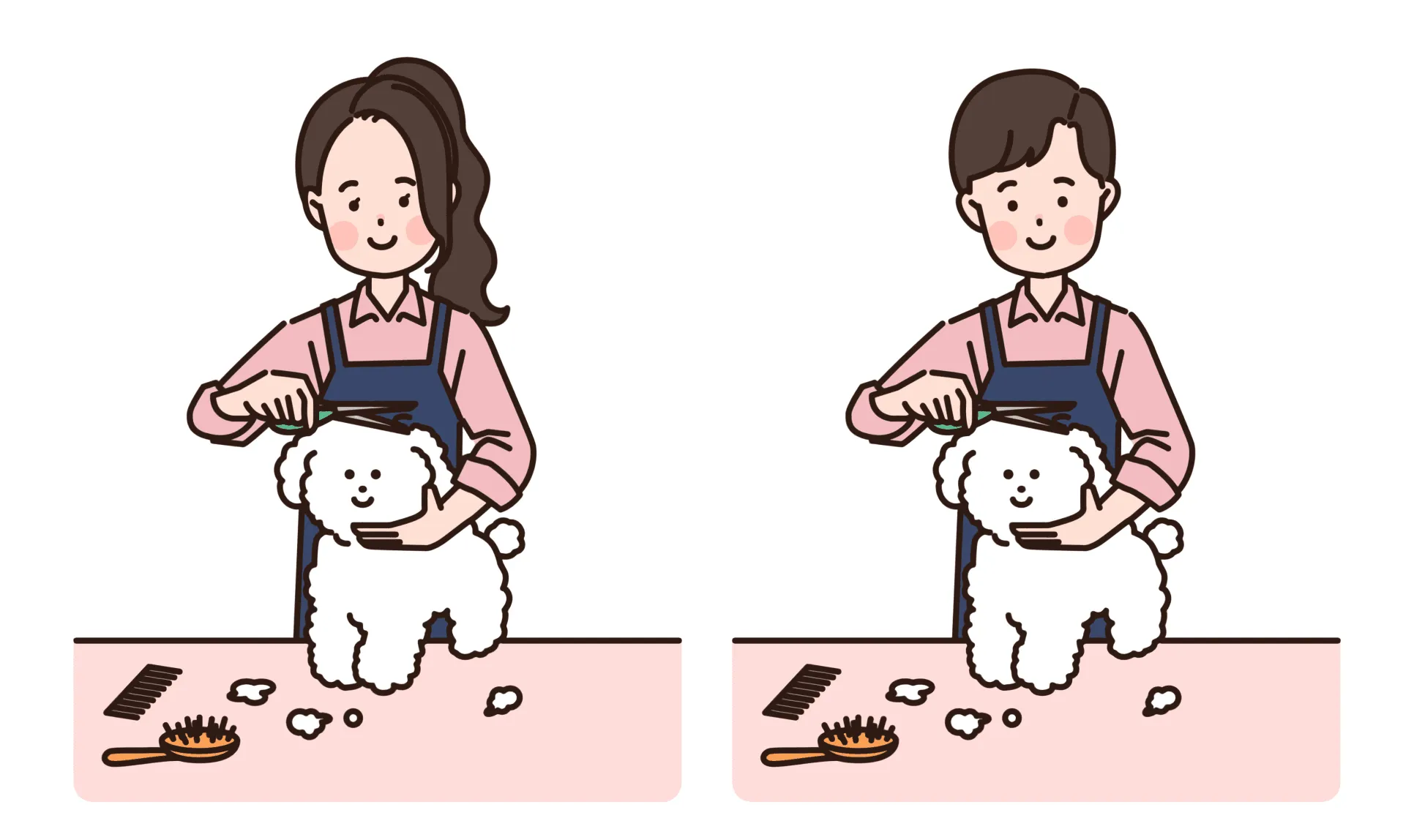 경력과 자격 급수에 따른 애견미용사 연봉 수준을 정리한 이미지