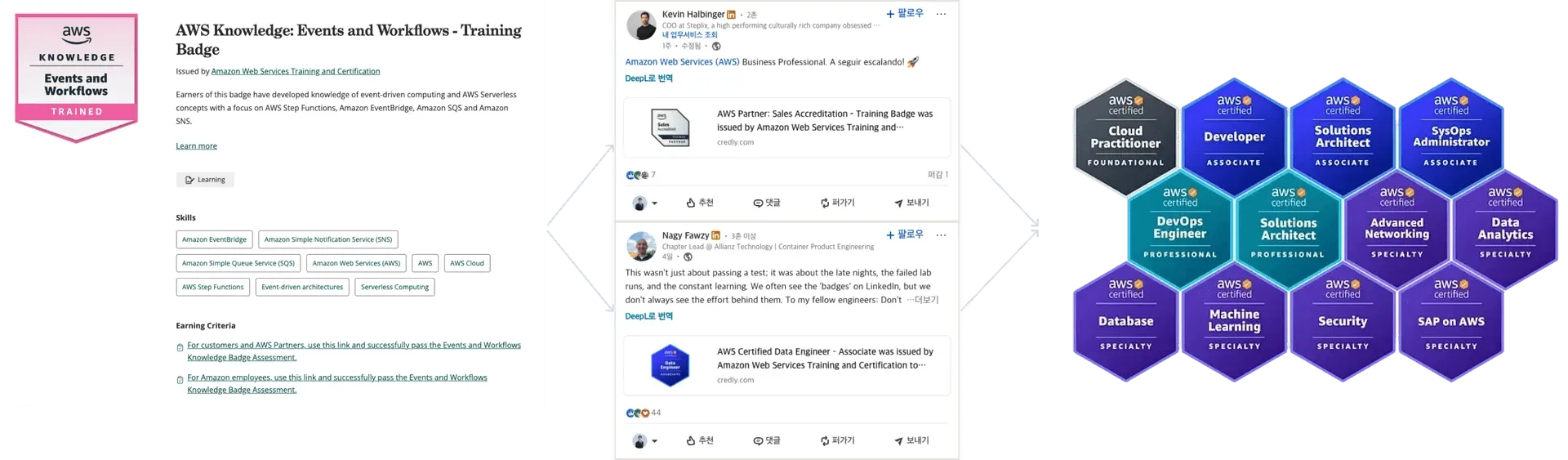 IBM·Salesforce·Google 세 기업의 디지털배지 활용 공통 패턴을 정리한 그래픽